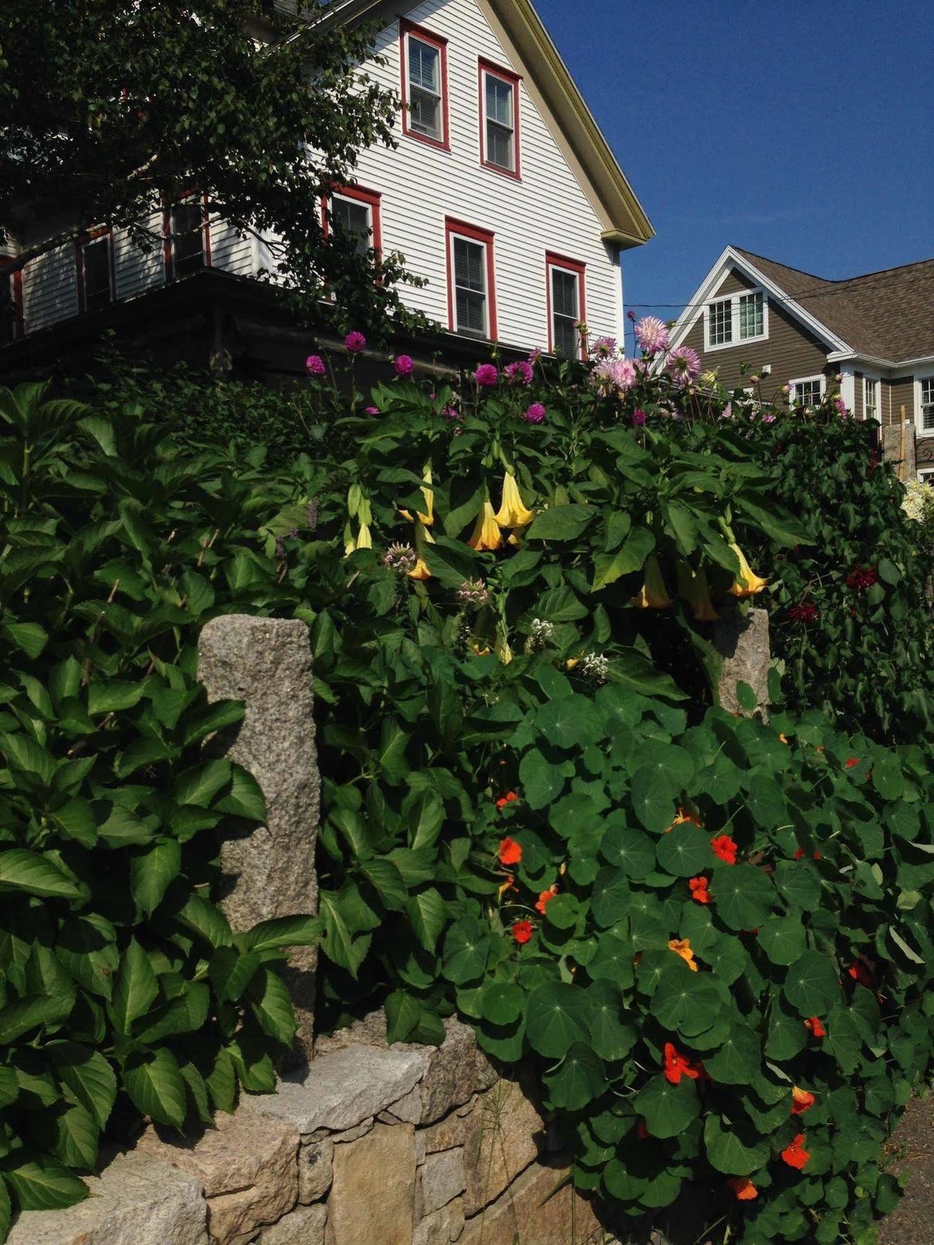 Scotch Hill Inn Ogunquit Kültér fotó